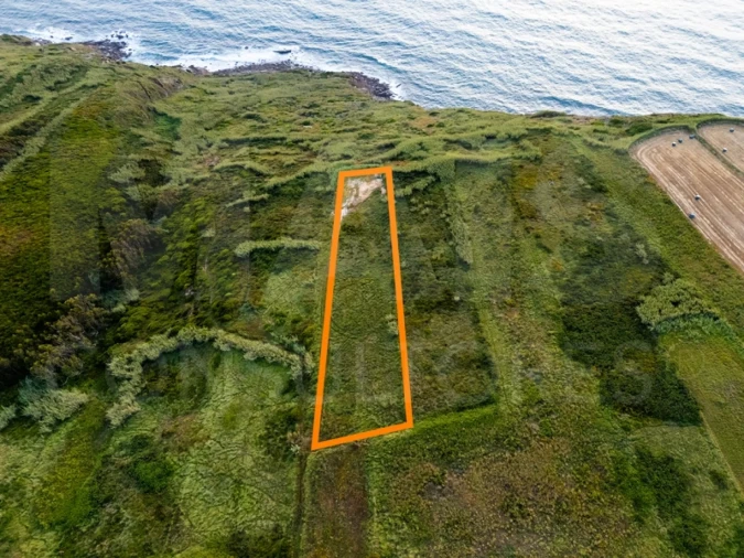Terreno para Venda em Tornada e Salir do Porto Foto 3