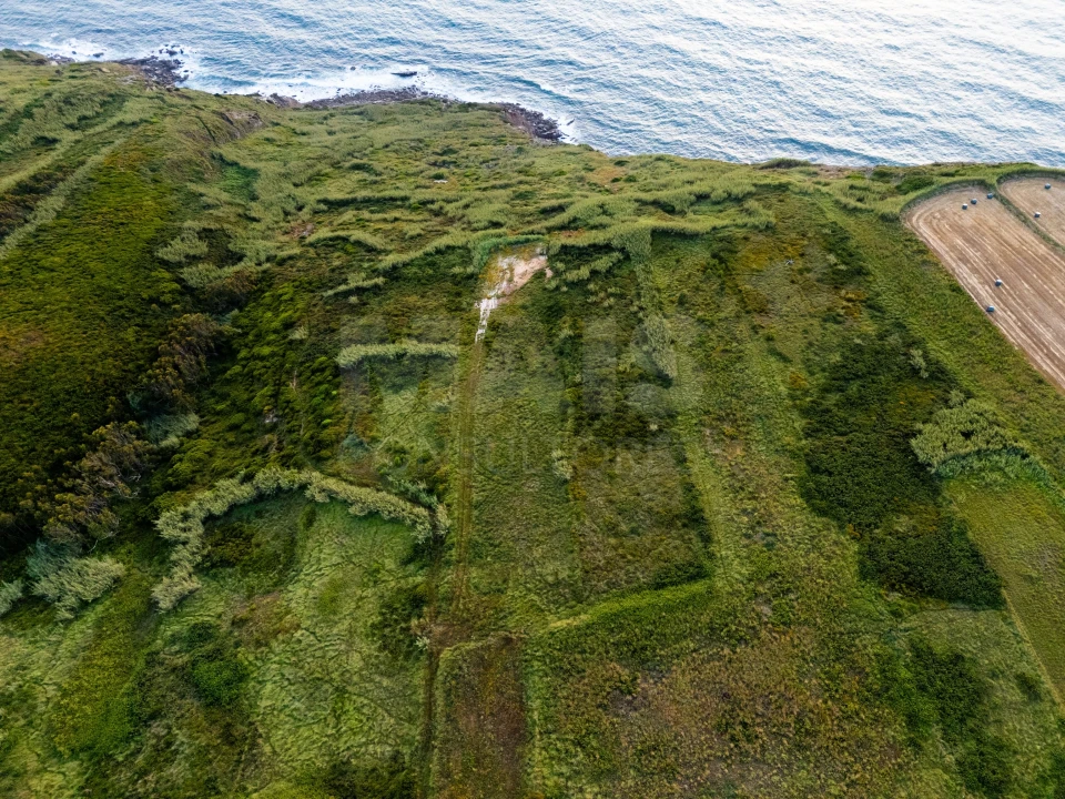 Terreno para Venda em Tornada e Salir do Porto Foto 4