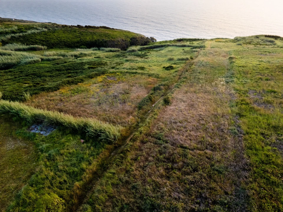 Terreno para Venda em Tornada e Salir do Porto Foto 2