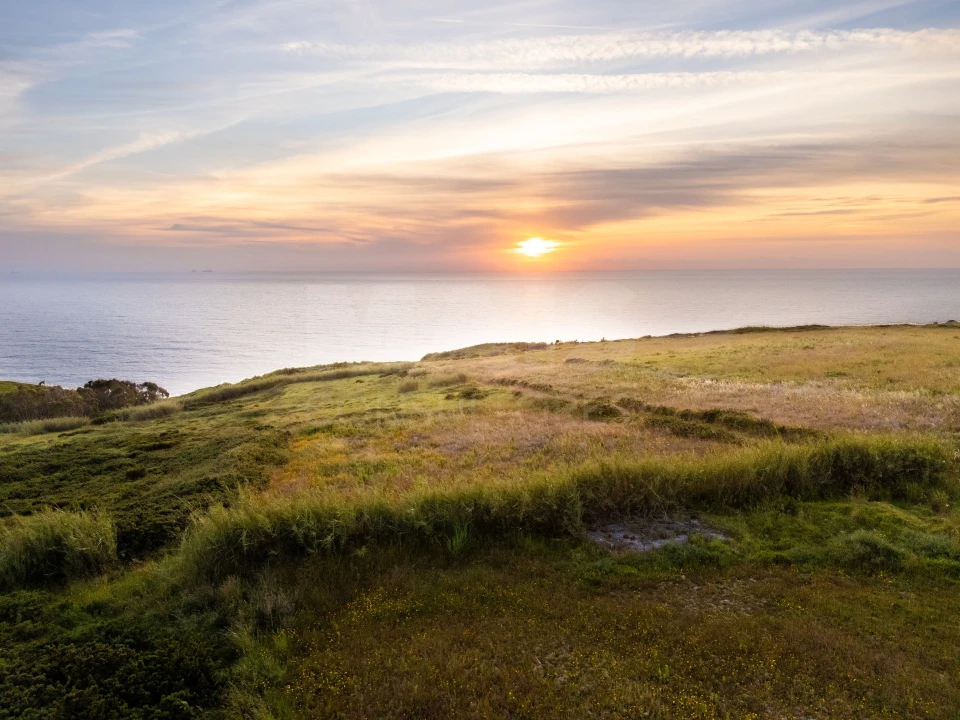 Terreno para Venda em Tornada e Salir do Porto Foto 5