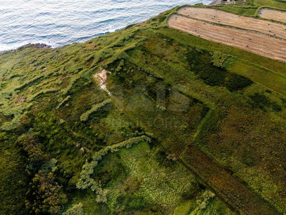 Terreno para Venda em Tornada e Salir do Porto Foto 9