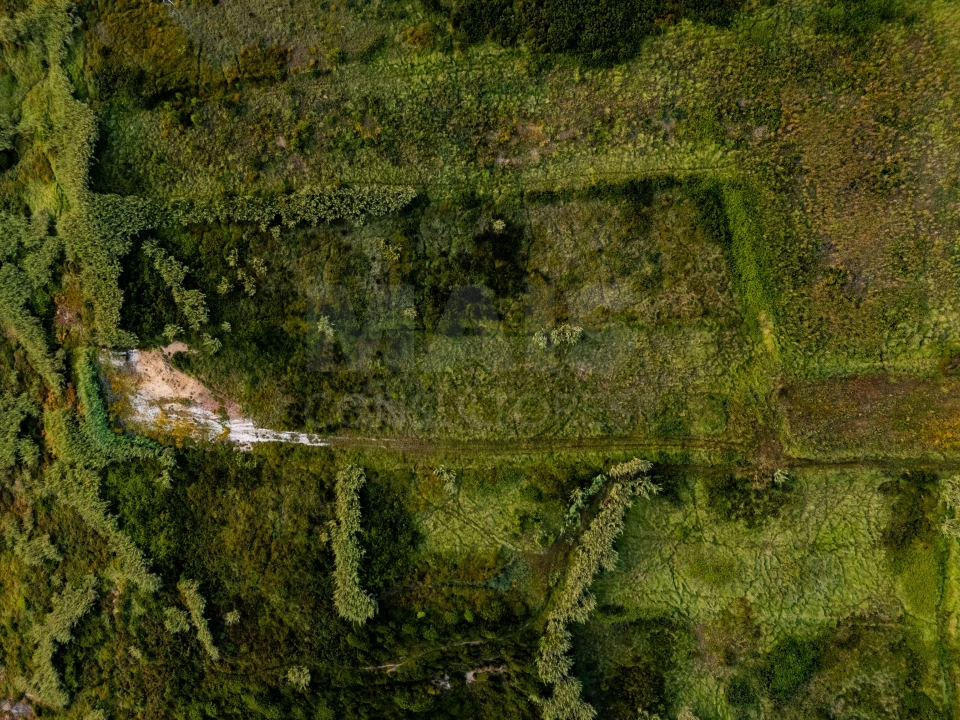 Terreno para Venda em Tornada e Salir do Porto Foto 10