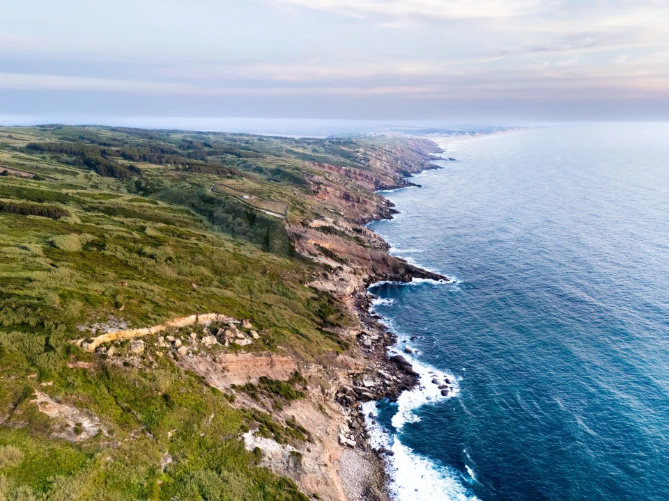Terreno para Venda em Tornada e Salir do Porto Foto 1