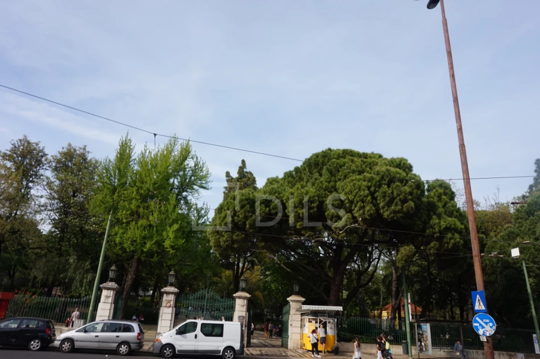 Apartamento T1 para Venda em Estrela Foto 10