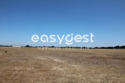Terreno Comércio / Armazém para Venda em Palmela