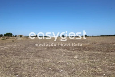 Terreno Comércio / Armazém para Venda em Palmela