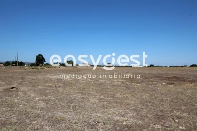 Terreno Comércio / Armazém para Venda em Palmela