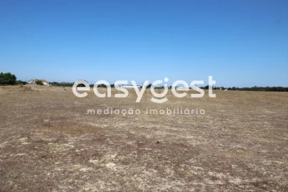 Terreno Comércio / Armazém para Venda em Palmela