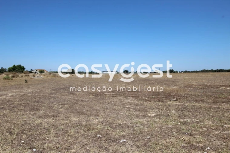 Terreno Comércio / Armazém para Venda em Palmela Foto 3