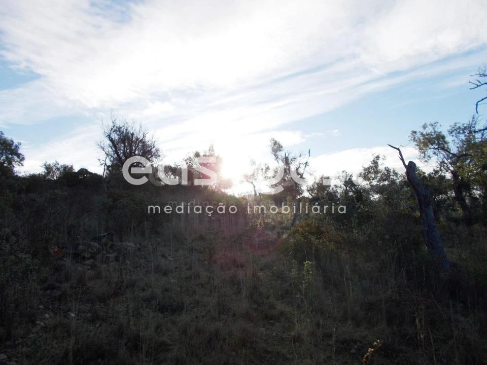 Terreno Agricola ou Rústico para Venda em São Brás de Alportel Foto 3