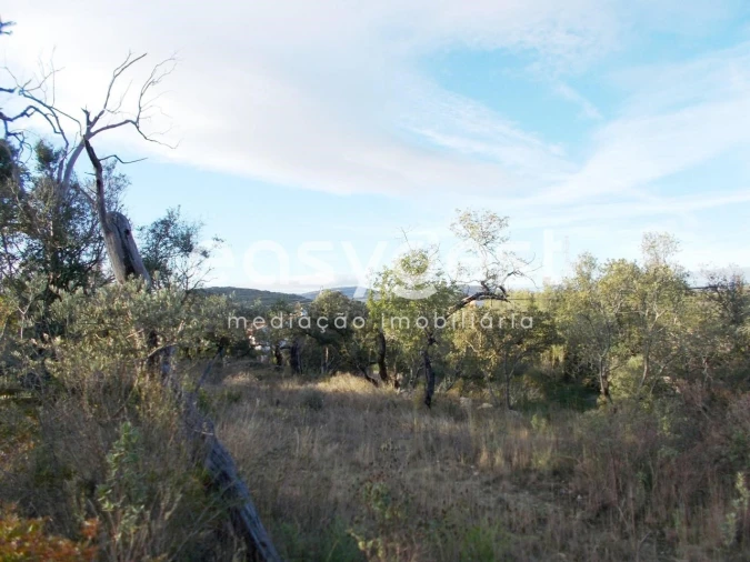 Terreno Agricola ou Rústico para Venda em São Brás de Alportel