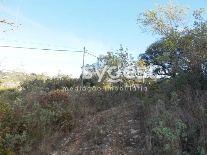 Terreno Agricola ou Rústico para Venda em São Brás de Alportel Foto 4