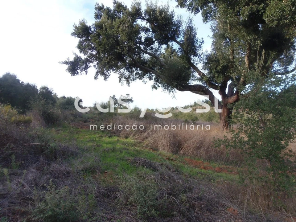 Terreno Agricola ou Rústico para Venda em Cercal Foto 1