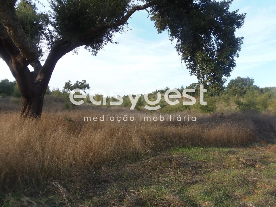 Terreno Agricola ou Rústico para Venda em Cercal Foto 3