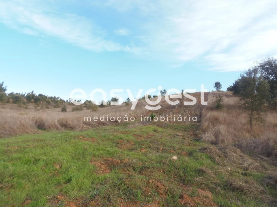 Terreno Agricola ou Rústico para Venda em Cercal Foto 6