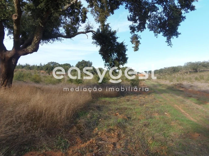 Terreno Agricola ou Rústico para Venda em Cercal Foto 2