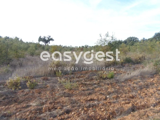Terreno Agricola ou Rústico para Venda em Cercal Foto 4