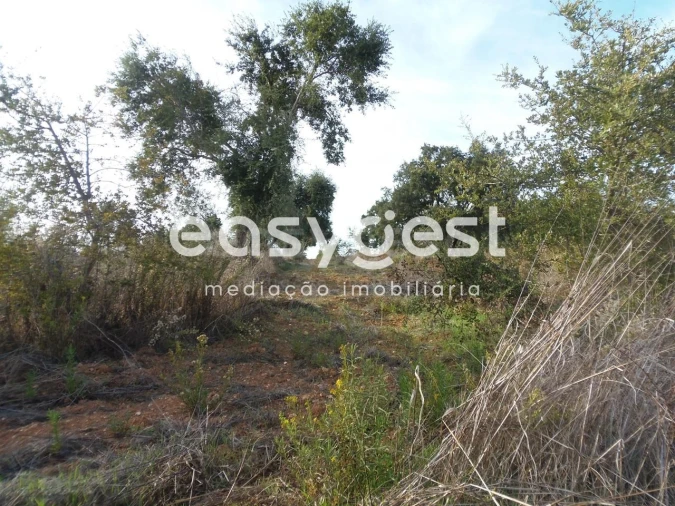 Terreno Agricola ou Rústico para Venda em Cercal Foto 5