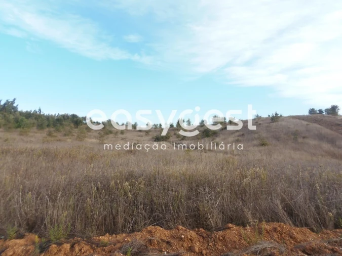 Terreno Agricola ou Rústico para Venda em Cercal Foto 7
