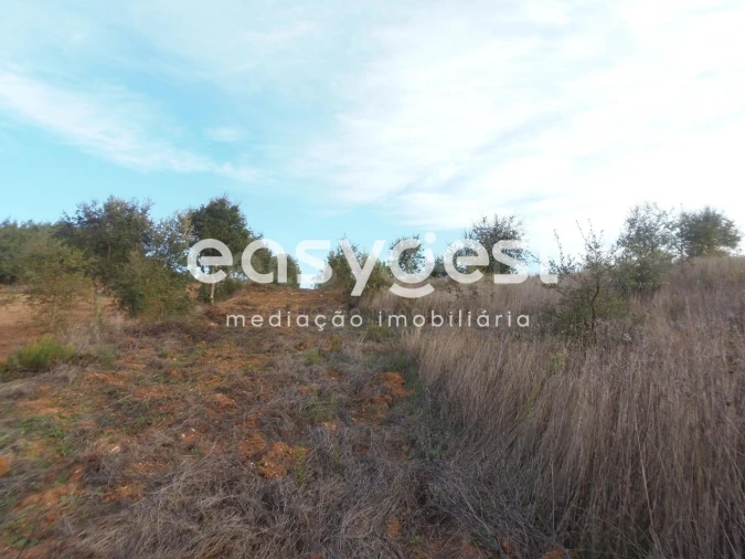 Terreno Agricola ou Rústico para Venda em Cercal Foto 8