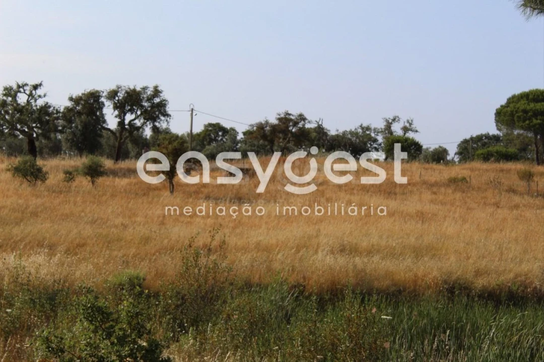 Terreno Misto para Venda em Melides Foto 7