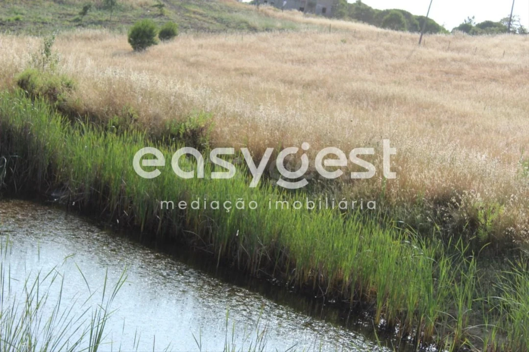 Terreno Misto para Venda em Melides Foto 8