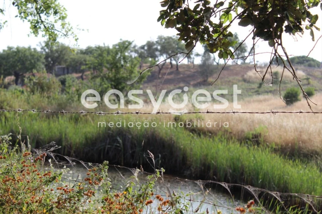 Terreno Misto para Venda em Melides Foto 9