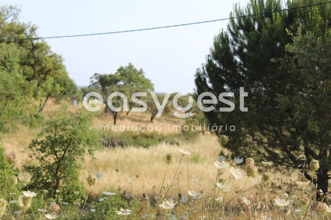 Terreno Misto para Venda em Melides Foto 10