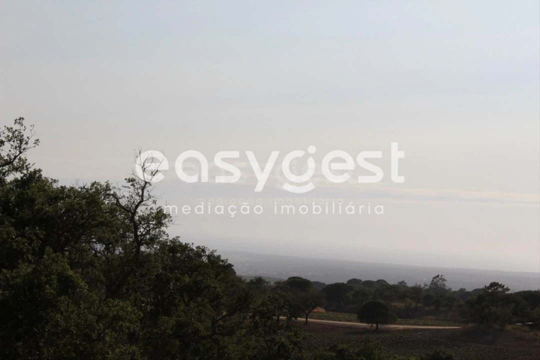 Terreno Misto para Venda em Melides Foto 18