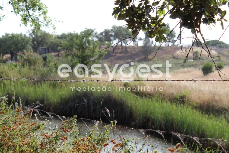 Terreno Misto para Venda em Melides Foto 9