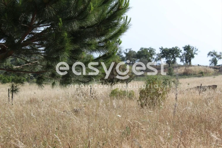Terreno Misto para Venda em Melides Foto 11
