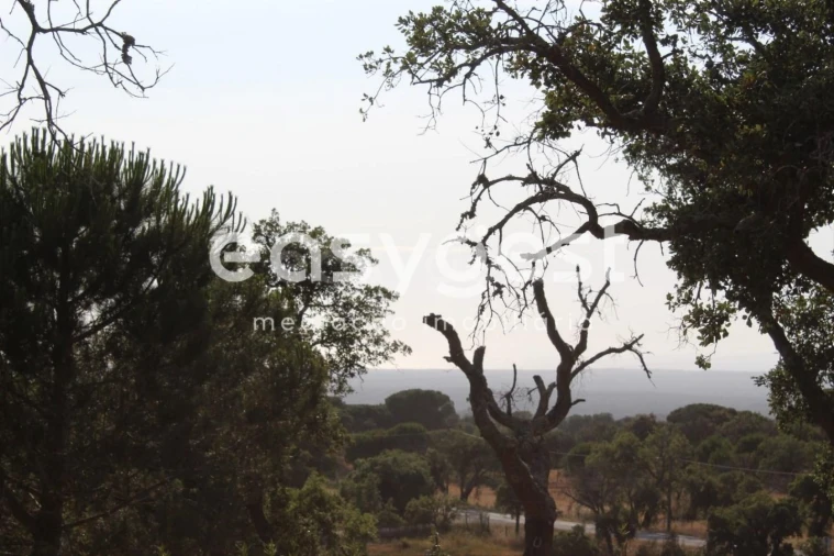 Terreno Misto para Venda em Melides Foto 16