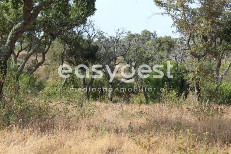 Terreno Misto para Venda em Melides Foto 17