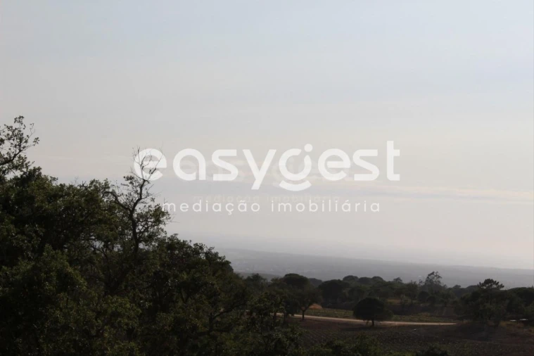 Terreno Misto para Venda em Melides Foto 18
