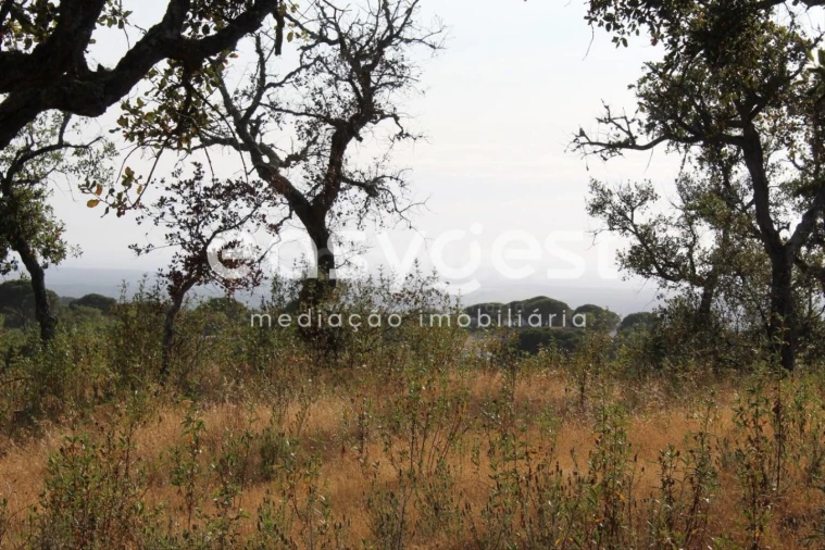 Terreno Misto para Venda em Melides Foto 19