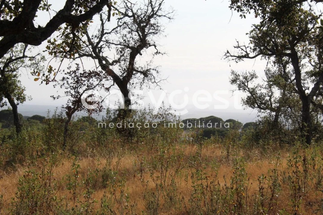 Terreno Misto para Venda em Melides Foto 1