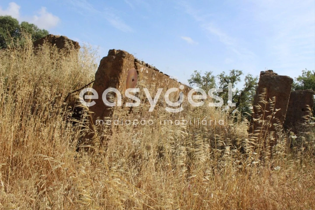 Terreno Misto para Venda em Melides Foto 9