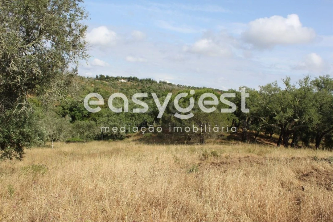 Terreno Misto para Venda em Melides Foto 10