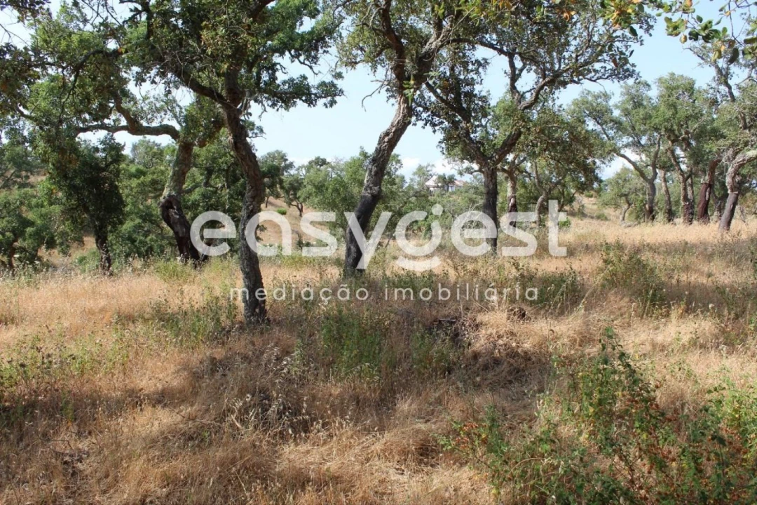 Terreno Misto para Venda em Melides Foto 14