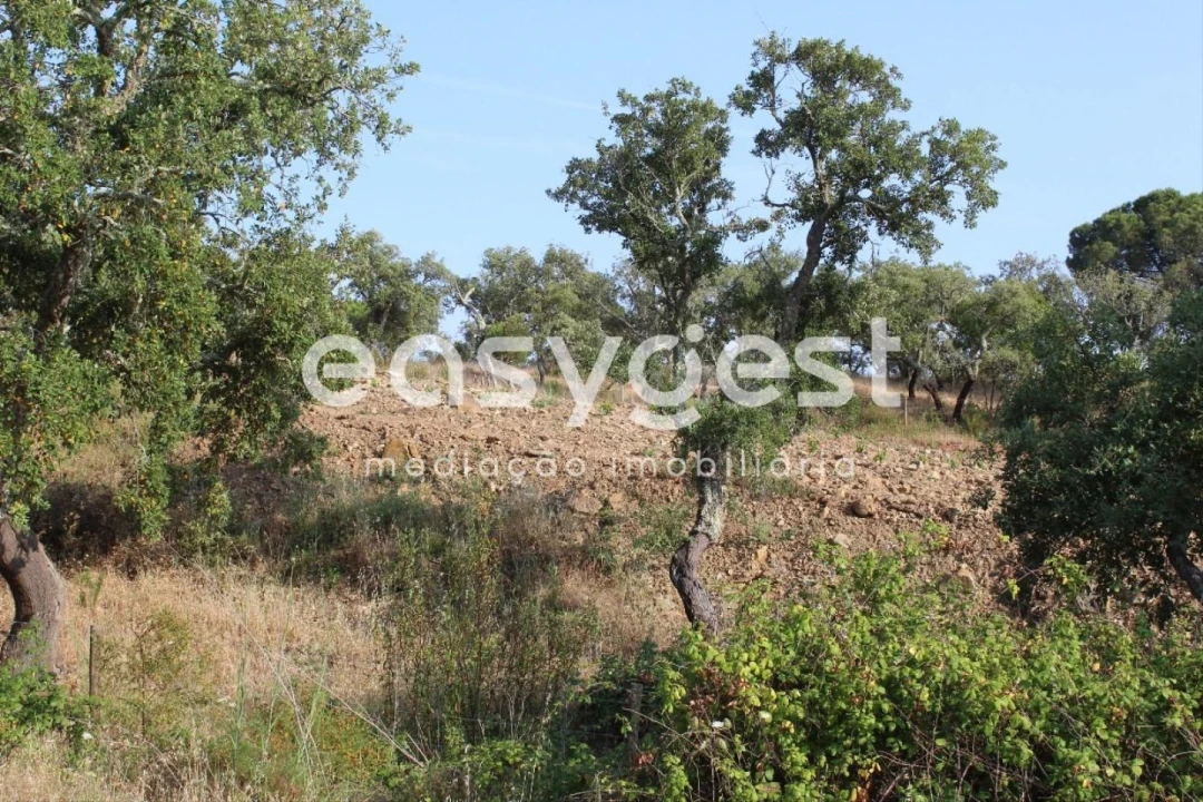 Terreno Misto para Venda em Melides Foto 17