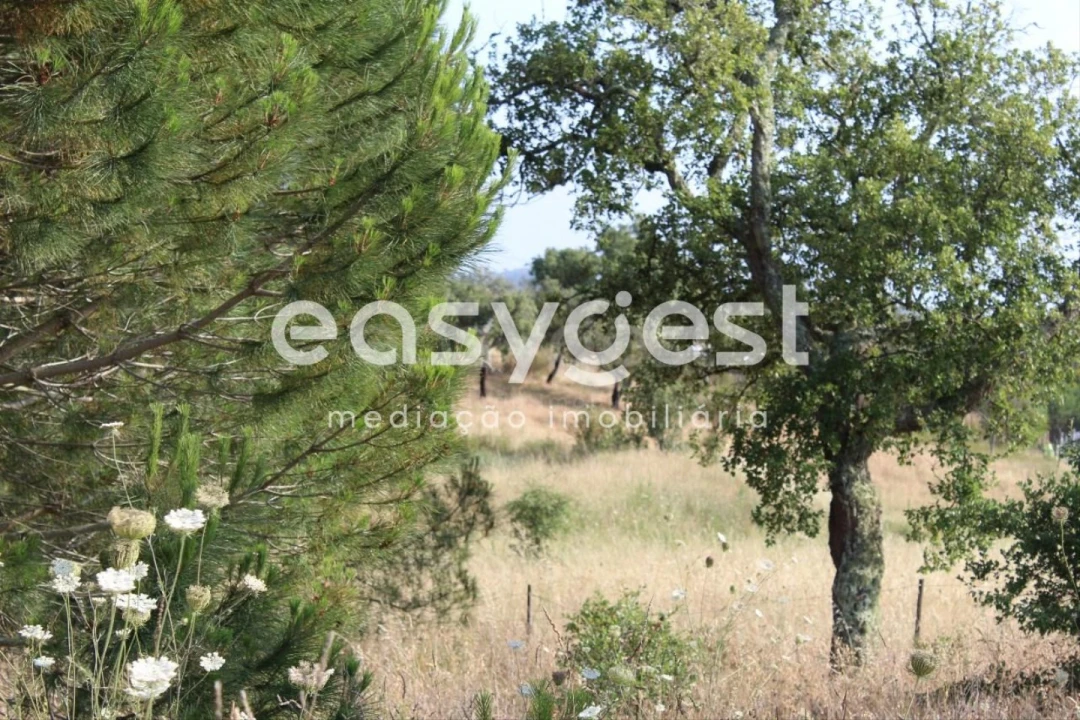 Terreno Misto para Venda em Melides Foto 20