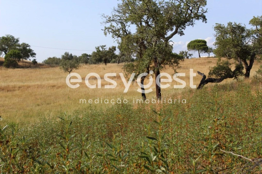 Terreno Misto para Venda em Melides Foto 21