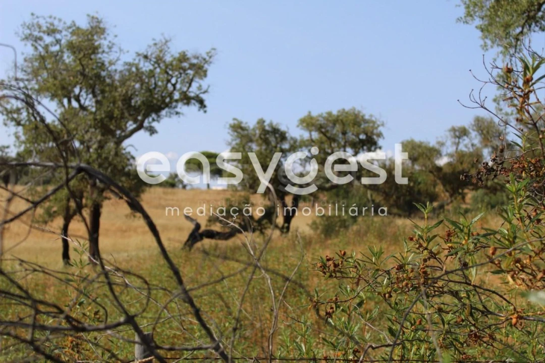 Terreno Misto para Venda em Melides Foto 23