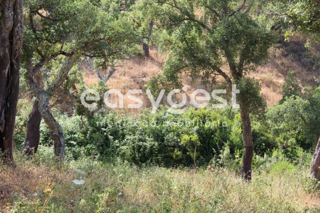 Terreno Misto para Venda em Melides Foto 25