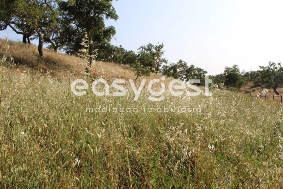 Terreno Misto para Venda em Melides Foto 27