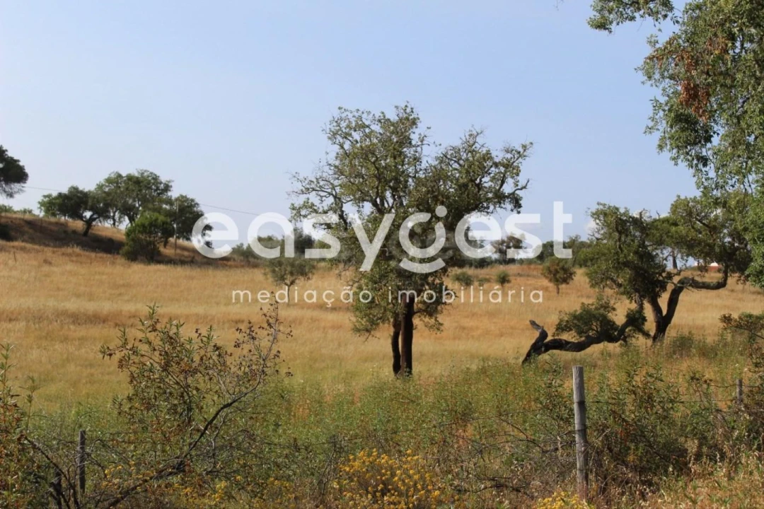 Terreno Misto para Venda em Melides Foto 28
