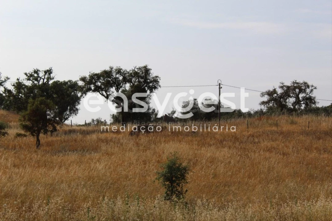 Terreno Misto para Venda em Melides Foto 29