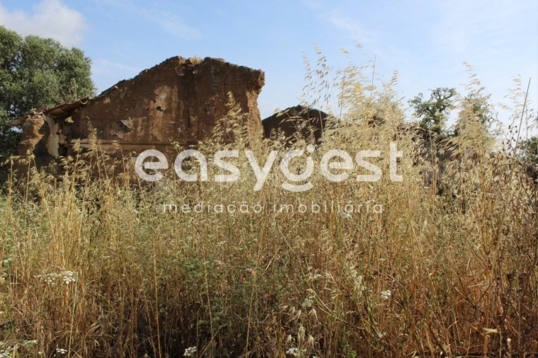 Terreno Misto para Venda em Melides Foto 3