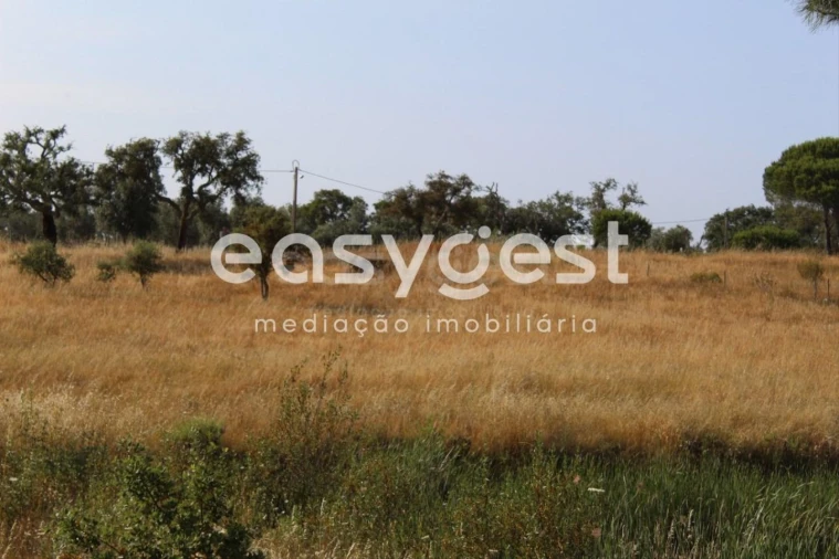 Terreno Misto para Venda em Melides Foto 4