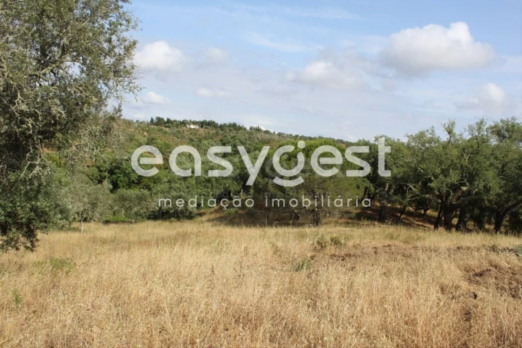 Terreno Misto para Venda em Melides Foto 10